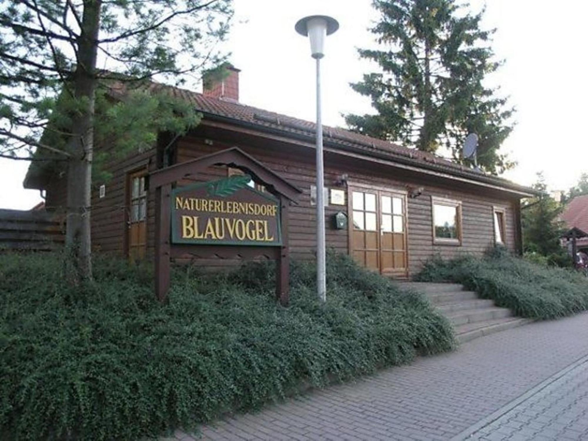Ferienhaus Nr 32, Typ A, Ferienanlage Blauvogel, Hasselfelde, Harz Экстерьер фото
